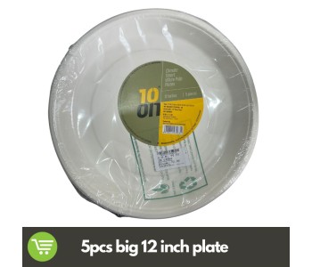 10 ON WHITE PULP PLAIN DISPOSABLE PLATES 12 INCHES